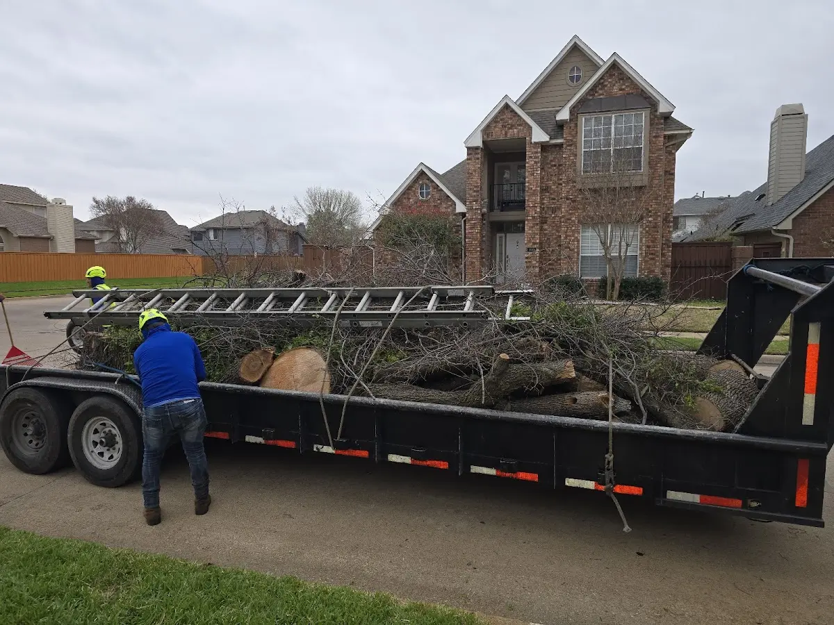Expert Crown Reduction with proper safety equipment in Fruitland